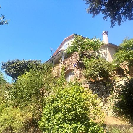 Les Jardins D'Arbousse 호텔 생장뒤가르 외부 사진